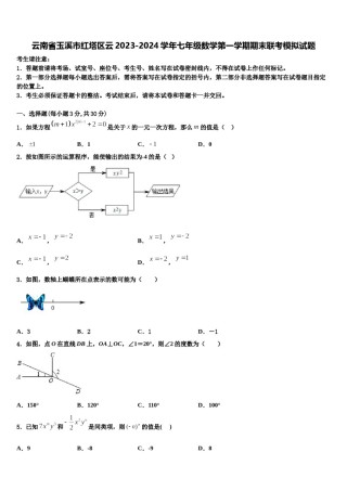云南省玉溪市红塔区云2023-2024学年七年级数学第一学期期末联考模拟试题含解析.doc