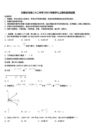 内蒙古乌海二十二中学2023年数学七上期末监测试题含解析.doc