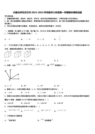 内蒙古呼伦贝尔市2023-2024学年数学七年级第一学期期末调研试题含解析.doc