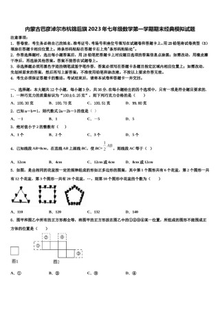内蒙古巴彦淖尔市杭锦后旗2023年七年级数学第一学期期末经典模拟试题含解析.doc