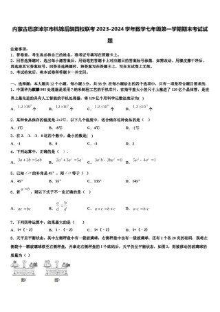 内蒙古巴彦淖尔市杭锦后旗四校联考2023-2024学年数学七年级第一学期期末考试试题含解析.doc