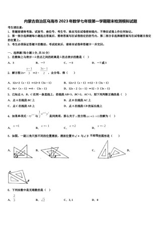 内蒙古自治区乌海市2023年数学七年级第一学期期末检测模拟试题含解析.doc