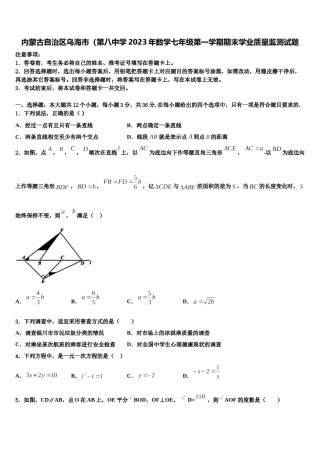 内蒙古自治区乌海市（第八中学2023年数学七年级第一学期期末学业质量监测试题含解析.doc