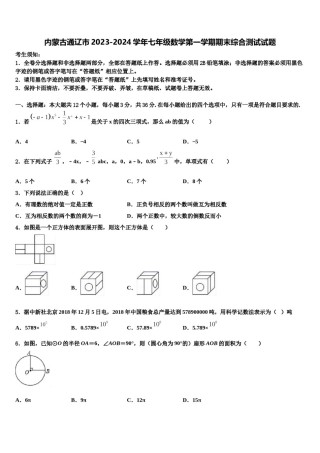 内蒙古通辽市2023-2024学年七年级数学第一学期期末综合测试试题含解析.doc