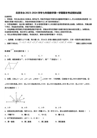 北京丰台2023-2024学年七年级数学第一学期期末考试模拟试题含解析.doc