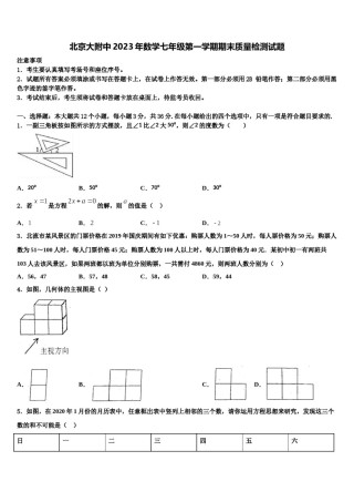 北京大附中2023年数学七年级第一学期期末质量检测试题含解析.doc