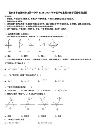 北京市丰台区长辛店第一中学2023-2024学年数学七上期末教学质量检测试题含解析.doc