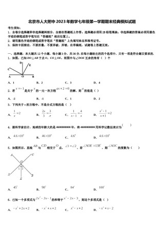 北京市人大附中2023年数学七年级第一学期期末经典模拟试题含解析.doc