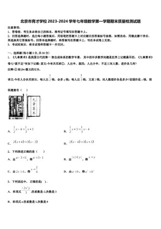 北京市育才学校2023-2024学年七年级数学第一学期期末质量检测试题含解析.doc