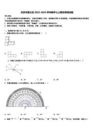 北京市顺义区2023-2024学年数学七上期末预测试题含解析.doc