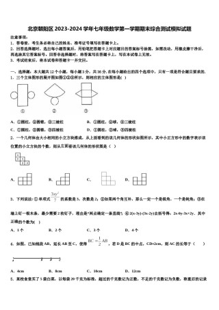 北京朝阳区2023-2024学年七年级数学第一学期期末综合测试模拟试题含解析.doc