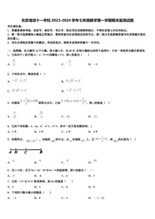 北京海淀十一学校2023-2024学年七年级数学第一学期期末监测试题含解析.doc