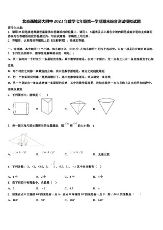 北京西城师大附中2023年数学七年级第一学期期末综合测试模拟试题含解析.doc