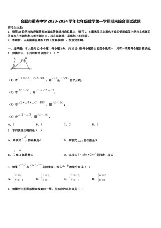 合肥市重点中学2023-2024学年七年级数学第一学期期末综合测试试题含解析.doc