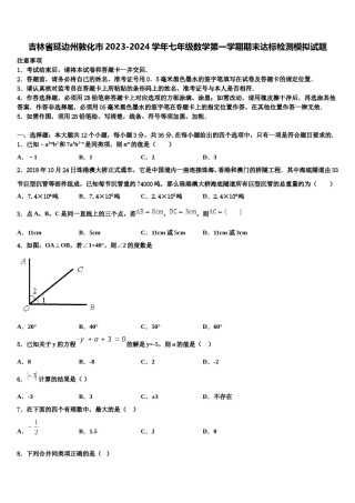 吉林省延边州敦化市2023-2024学年七年级数学第一学期期末达标检测模拟试题含解析.doc