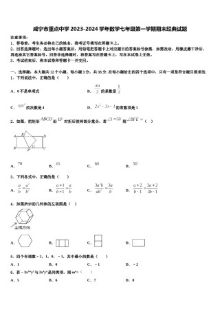 咸宁市重点中学2023-2024学年数学七年级第一学期期末经典试题含解析.doc