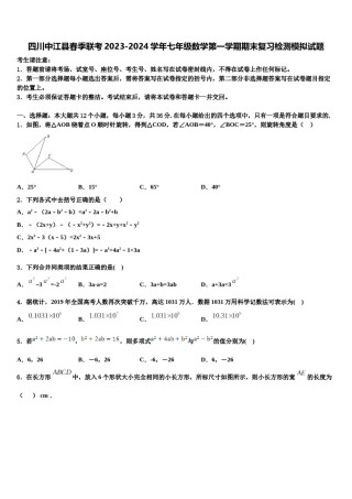 四川中江县春季联考2023-2024学年七年级数学第一学期期末复习检测模拟试题含解析.doc
