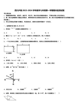 四川泸县2023-2024学年数学七年级第一学期期末监测试题含解析.doc
