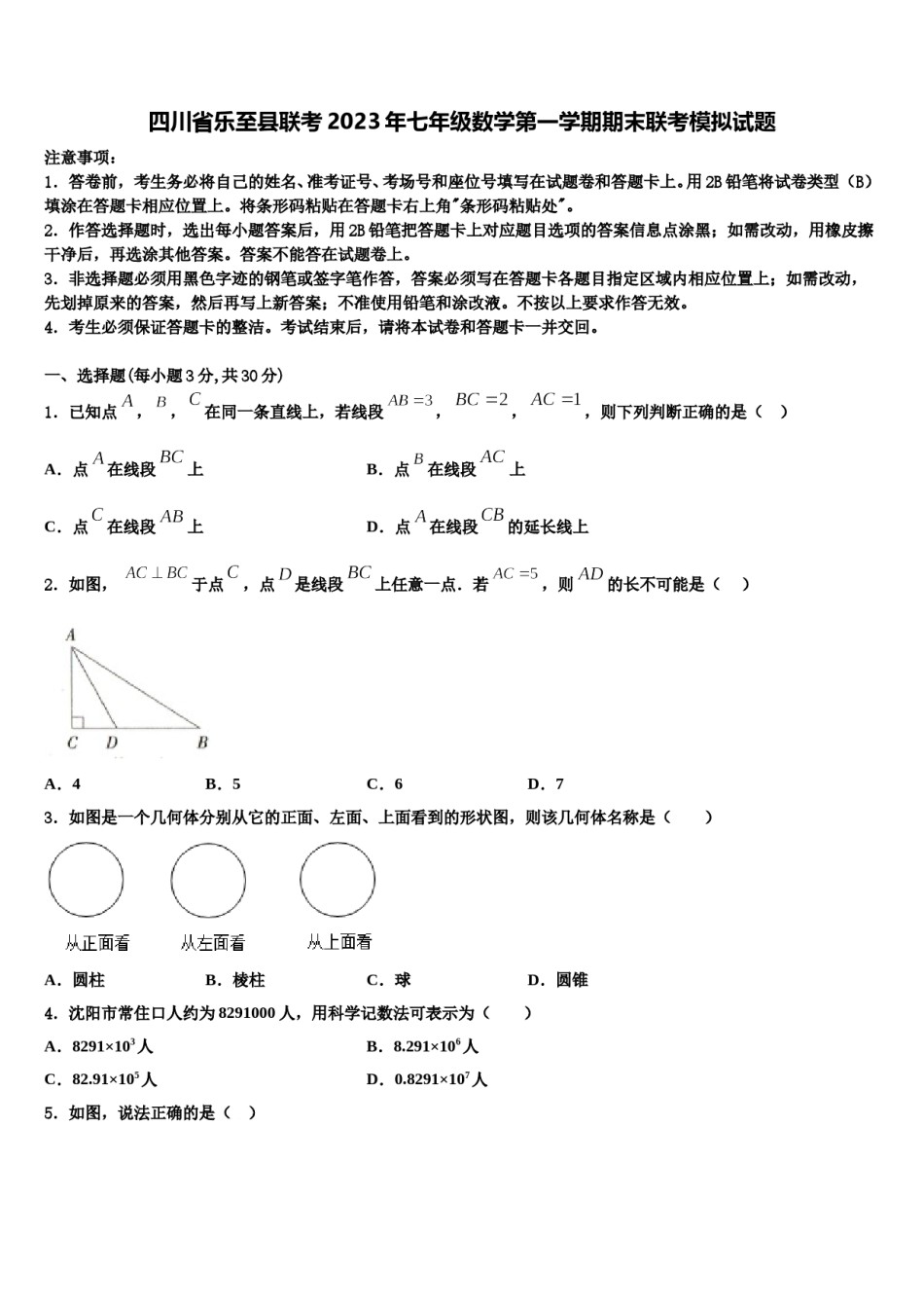 四川省乐至县联考2023年七年级数学第一学期期末联考模拟试题含解析.doc_第1页