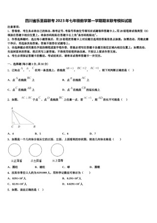四川省乐至县联考2023年七年级数学第一学期期末联考模拟试题含解析.doc