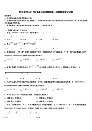 四川省凉山州2023年七年级数学第一学期期末考试试题含解析.doc