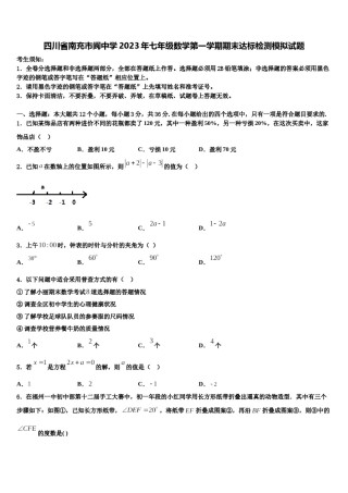 四川省南充市阆中学2023年七年级数学第一学期期末达标检测模拟试题含解析.doc