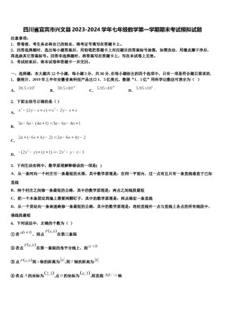 四川省宜宾市兴文县2023-2024学年七年级数学第一学期期末考试模拟试题含解析.doc