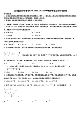 四川省巴中学市巴中学2023-2024学年数学七上期末联考试题含解析.doc