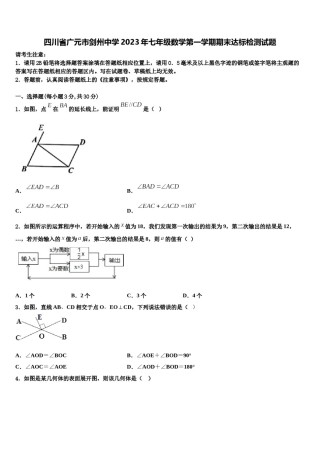 四川省广元市剑州中学2023年七年级数学第一学期期末达标检测试题含解析.doc