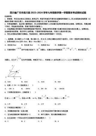 四川省广元市青川县2023-2024学年七年级数学第一学期期末考试模拟试题含解析.doc