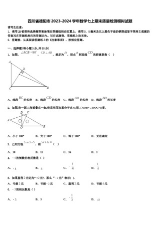 四川省德阳市2023-2024学年数学七上期末质量检测模拟试题含解析.doc
