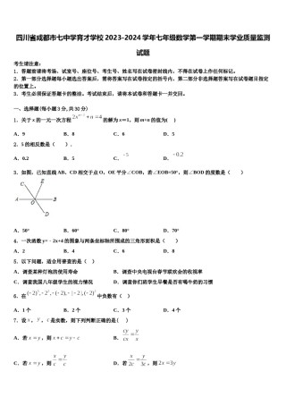 四川省成都市七中学育才学校2023-2024学年七年级数学第一学期期末学业质量监测试题含解析.doc