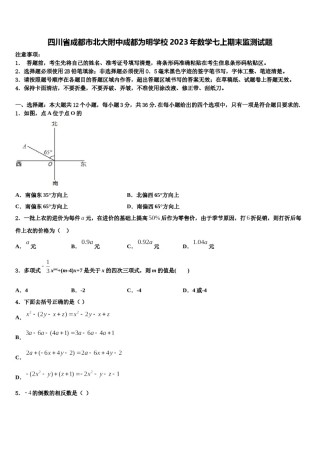 四川省成都市北大附中成都为明学校2023年数学七上期末监测试题含解析.doc