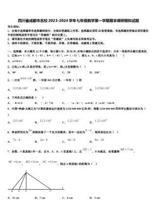 四川省成都市名校2023-2024学年七年级数学第一学期期末调研模拟试题含解析.doc