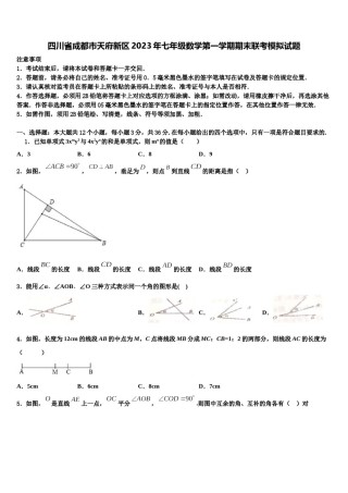 四川省成都市天府新区2023年七年级数学第一学期期末联考模拟试题含解析.doc