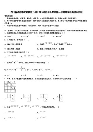 四川省成都市天府新区九级2023年数学七年级第一学期期末经典模拟试题含解析.doc