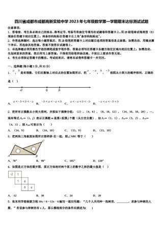 四川省成都市成都高新实验中学2023年七年级数学第一学期期末达标测试试题含解析.doc