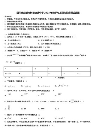 四川省成都市树德协进中学2023年数学七上期末综合测试试题含解析.doc