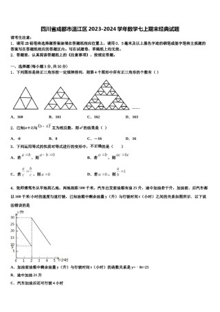 四川省成都市温江区2023-2024学年数学七上期末经典试题含解析.doc
