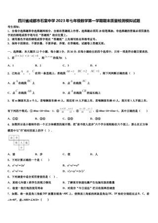 四川省成都市石室中学2023年七年级数学第一学期期末质量检测模拟试题含解析.doc
