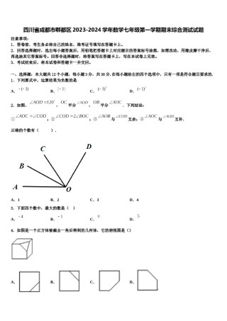 四川省成都市郫都区2023-2024学年数学七年级第一学期期末综合测试试题含解析.doc