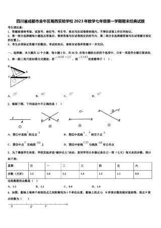四川省成都市金牛区蜀西实验学校2023年数学七年级第一学期期末经典试题含解析.doc