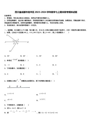 四川省成都市青羊区2023-2024学年数学七上期末联考模拟试题含解析.doc