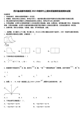 四川省成都市高新区2023年数学七上期末质量跟踪监视模拟试题含解析.doc