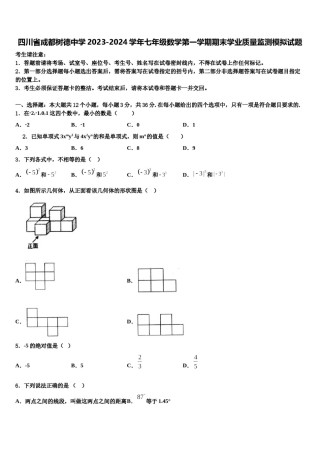 四川省成都树德中学2023-2024学年七年级数学第一学期期末学业质量监测模拟试题含解析.doc