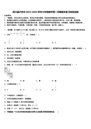 四川省泸州市2023-2024学年七年级数学第一学期期末复习检测试题含解析.doc