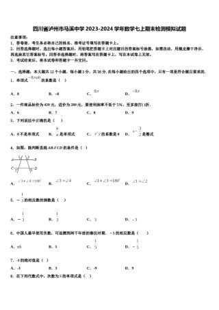 四川省泸州市马溪中学2023-2024学年数学七上期末检测模拟试题含解析.doc