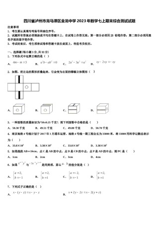 四川省泸州市龙马潭区金龙中学2023年数学七上期末综合测试试题含解析.doc