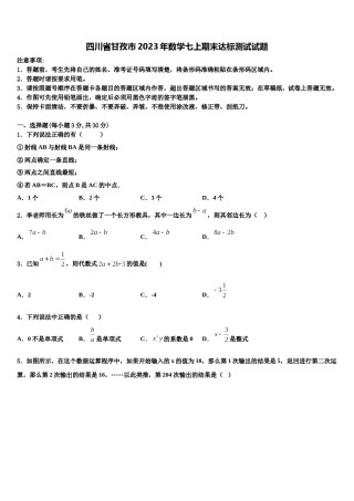 四川省甘孜市2023年数学七上期末达标测试试题含解析.doc