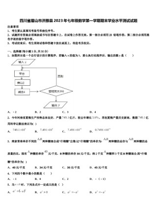 四川省眉山市洪雅县2023年七年级数学第一学期期末学业水平测试试题含解析.doc